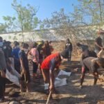 Lahar Dingin Lewotobi Rusak Akses Warga, OMK Paroki Santo Yosef Lewotobi Bergerak